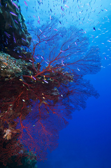 NationalGeographic_1303446 copia