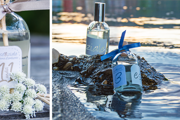 Il bosco incantato di Essenziale